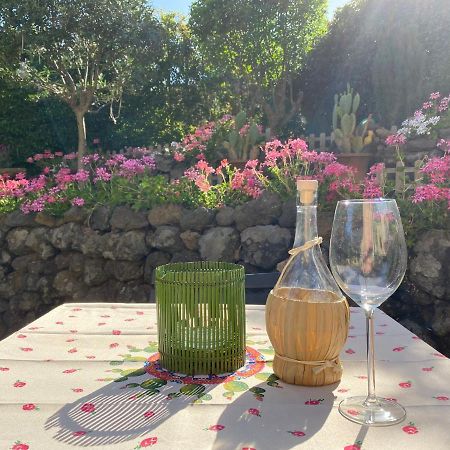 Etna Vintage Hotel ลิงกัวกลอสซา ภายนอก รูปภาพ